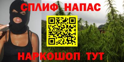 прущие грибы Бузулук