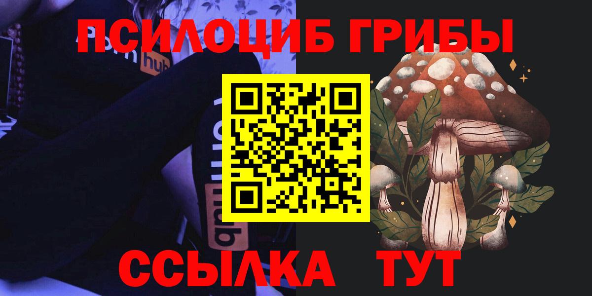 Псилоцибиновые грибы Psilocybe  Псилоцибиновые грибы Magic Shrooms  Вход с VPN  Новокубанск 