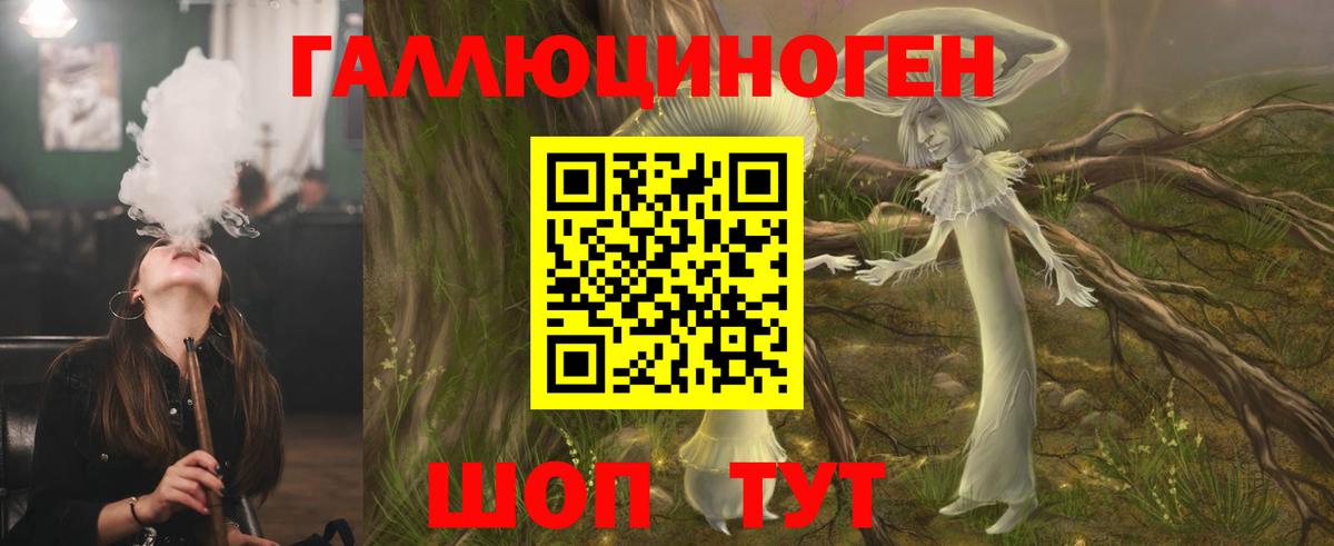 Псилоцибиновые грибы прущие грибы Новокубанск