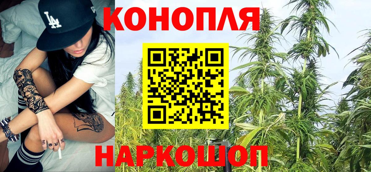Бошки Шишки сатива Новокубанск